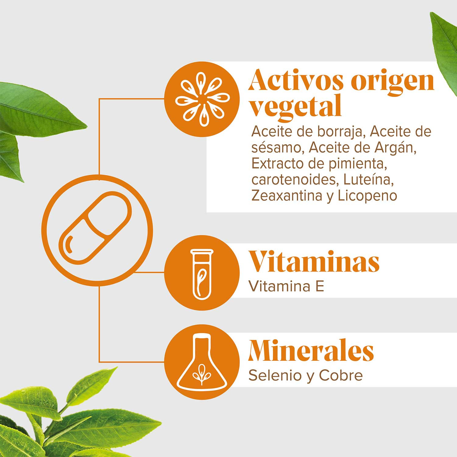 arkosol ingredientes