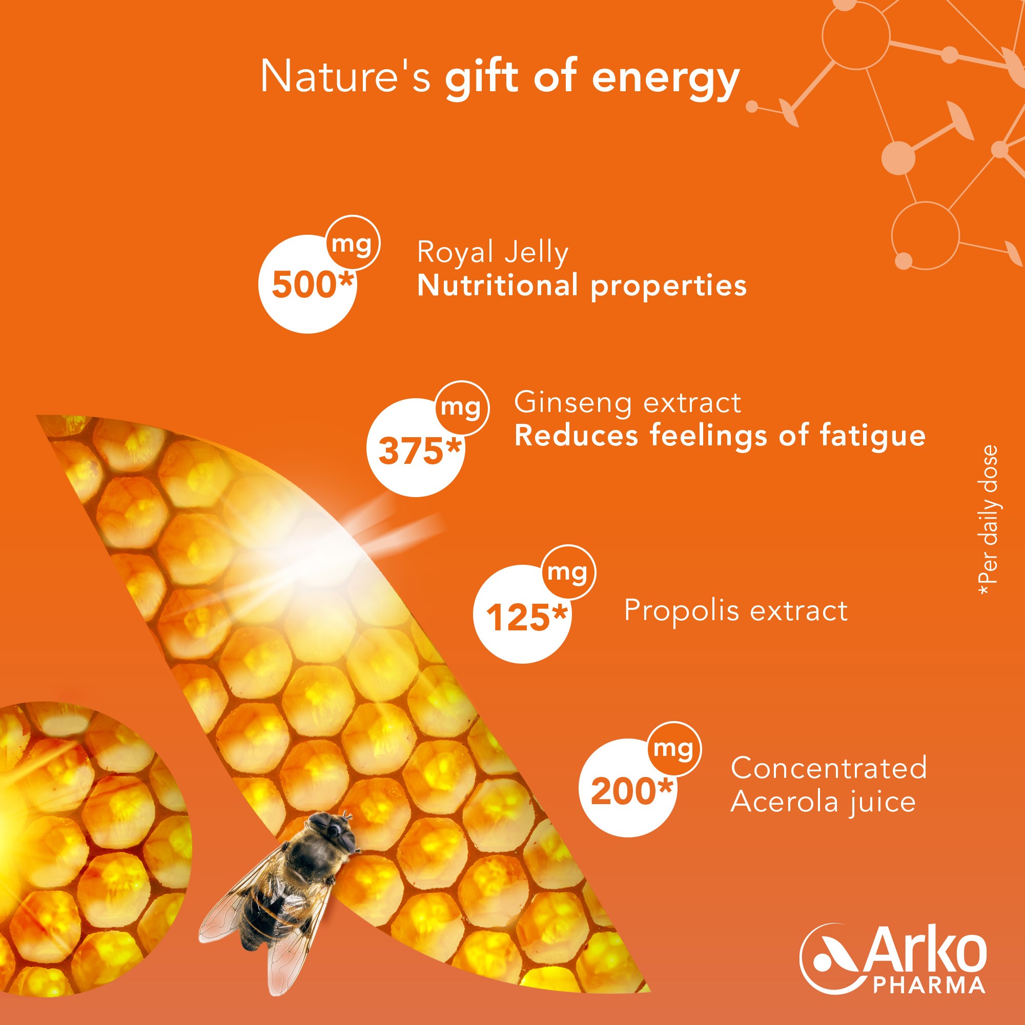 Composition of the Arkoroyal® Dynergie BIO